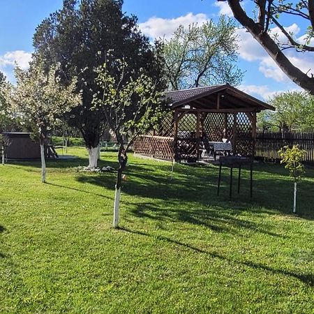Rîşnov Casa Danaヴィラ エクステリア 写真