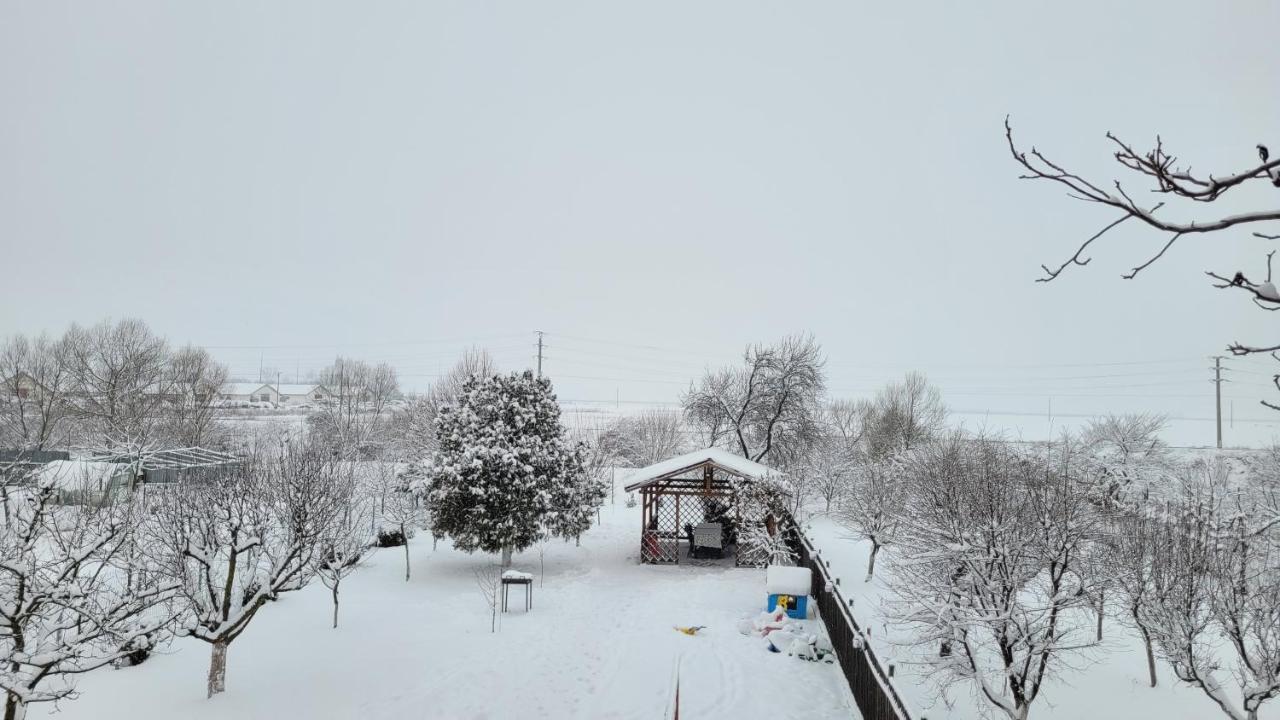Rîşnov Casa Danaヴィラ エクステリア 写真