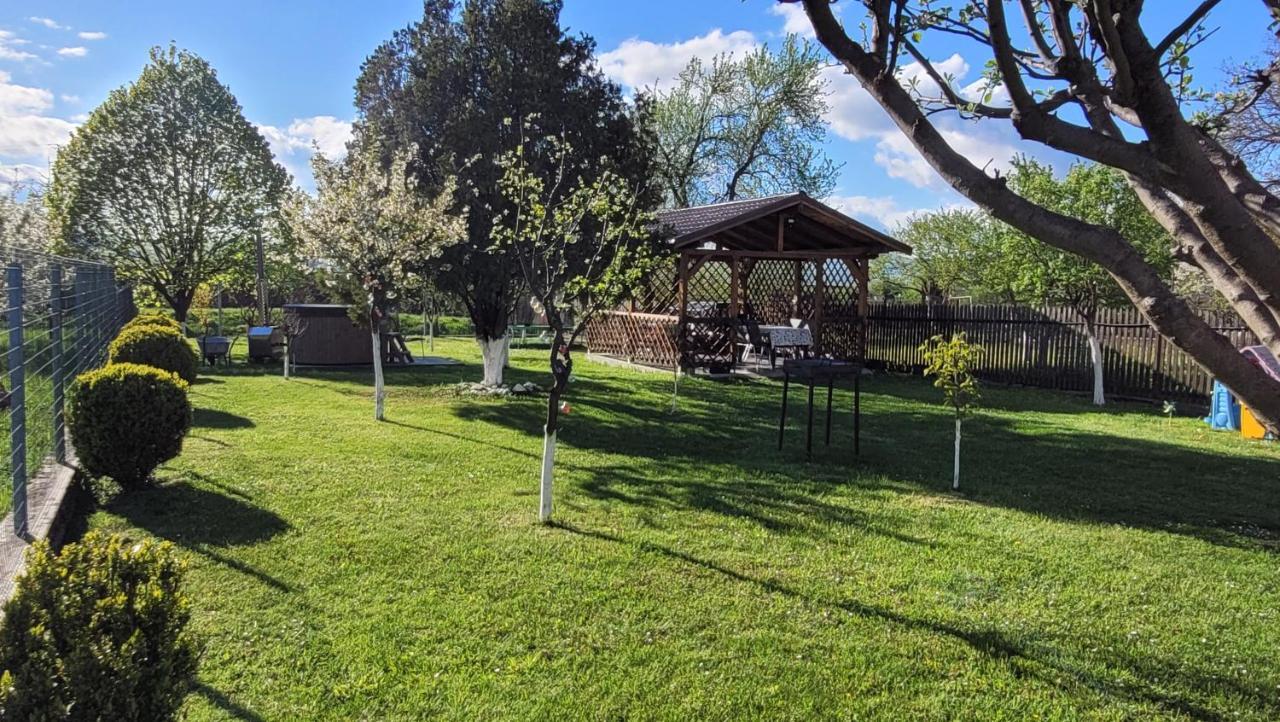 Rîşnov Casa Danaヴィラ エクステリア 写真